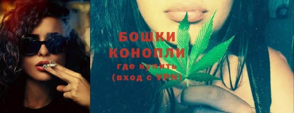 спиды Новозыбков