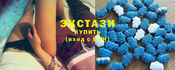 стаф Новокубанск