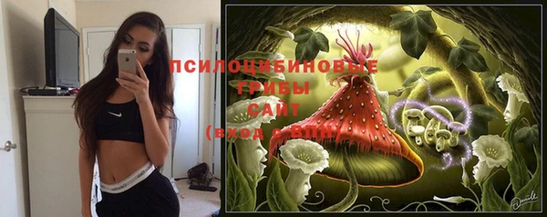 спиды Новозыбков