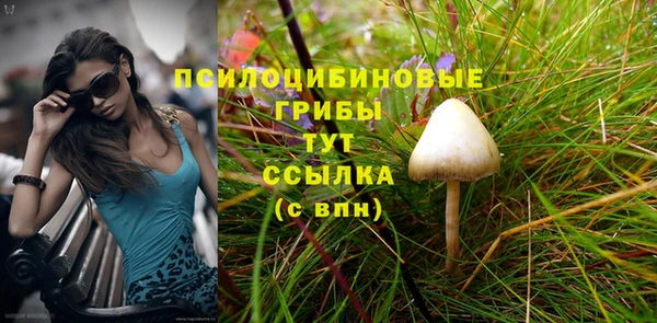 кокс Дмитров