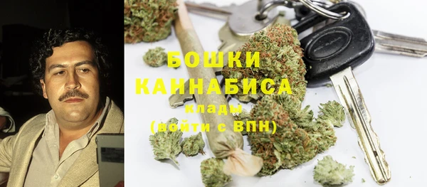 стаф Новокубанск