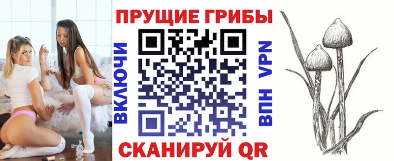 Псилоцибиновые грибы GOLDEN TEACHER  МЕГА ONION  Кимры  где можно купить  