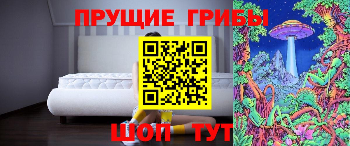Псилоцибиновые грибы мицелий  Вход с VPN  Кимры 