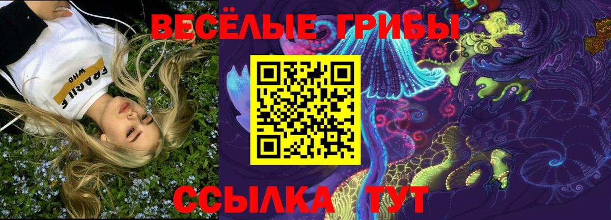 Галлюциногенные грибы MAGIC MUSHROOMS  Псилоцибиновые грибы мицелий  Кимры 